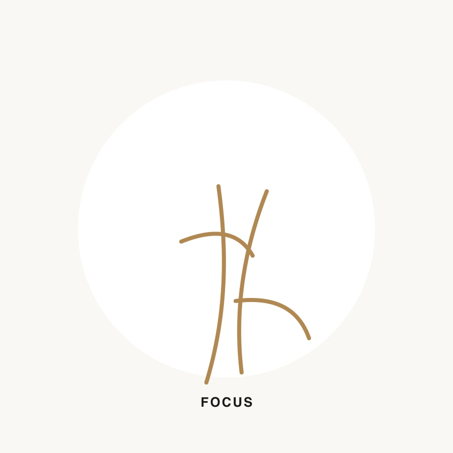 Focus